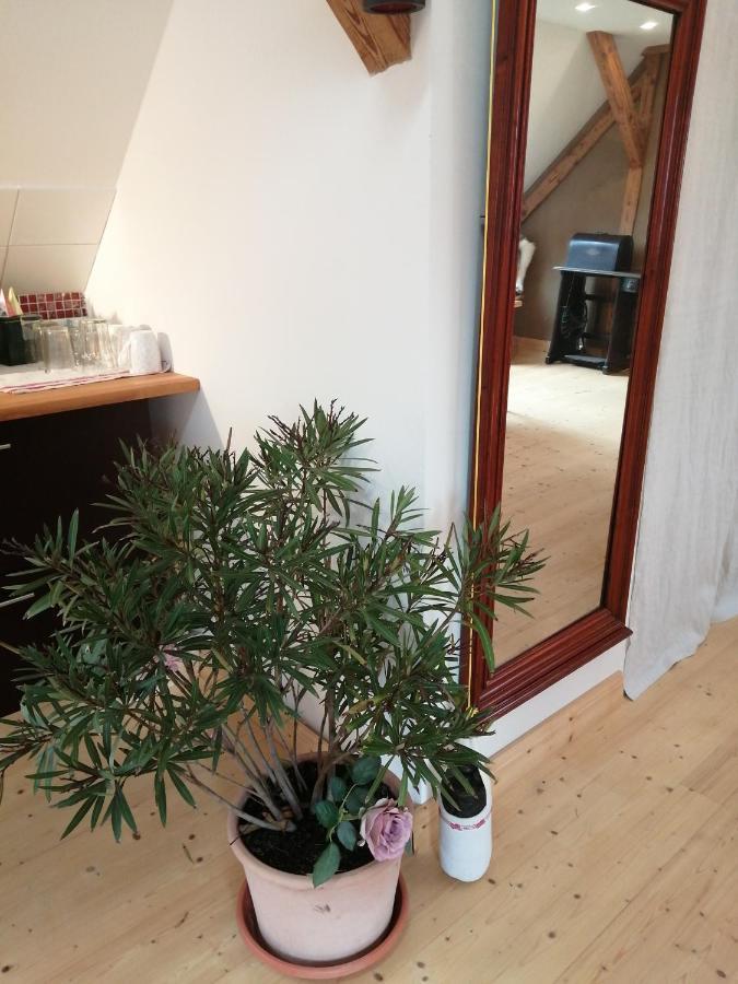 Haus Schmeile Magdebourg Extérieur photo